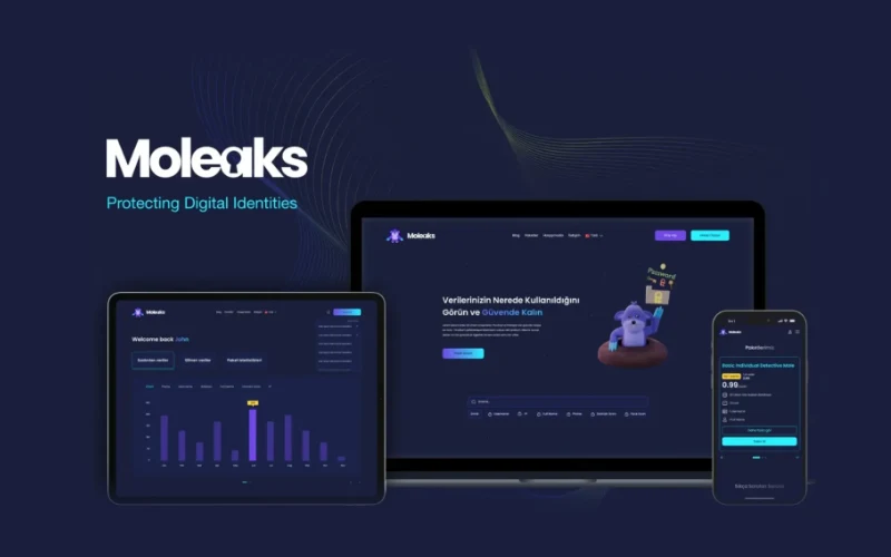 Moleaks sızma axtarışı və hesabat interfeysi