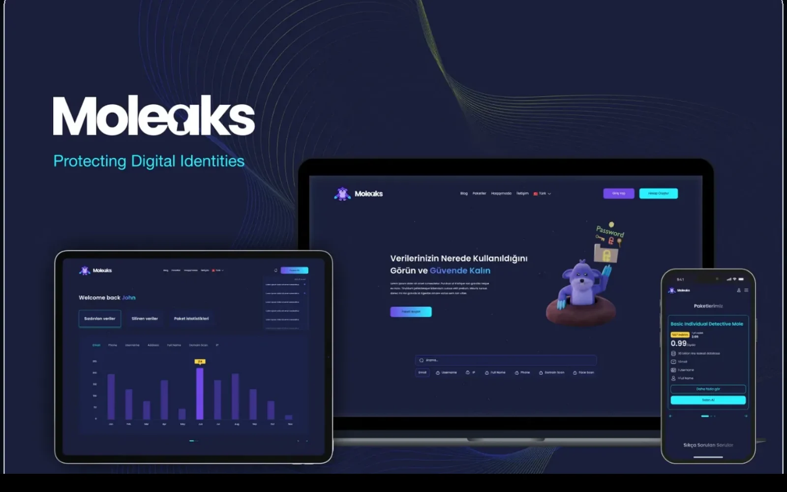 Moleaks sızma axtarışı və hesabat interfeysi